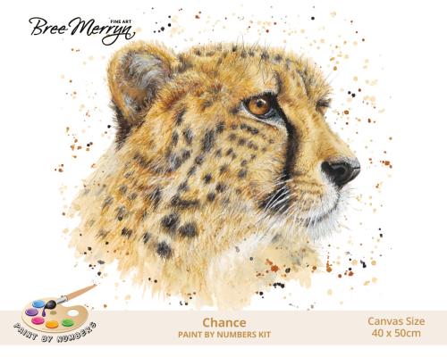 Bree Merryn Paint By Numbers 40cm x 50cm - Chance