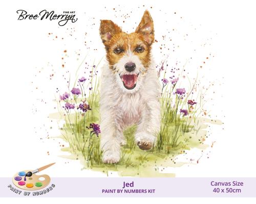 Bree Merryn Paint By Numbers 40cm x 50cm - Jed