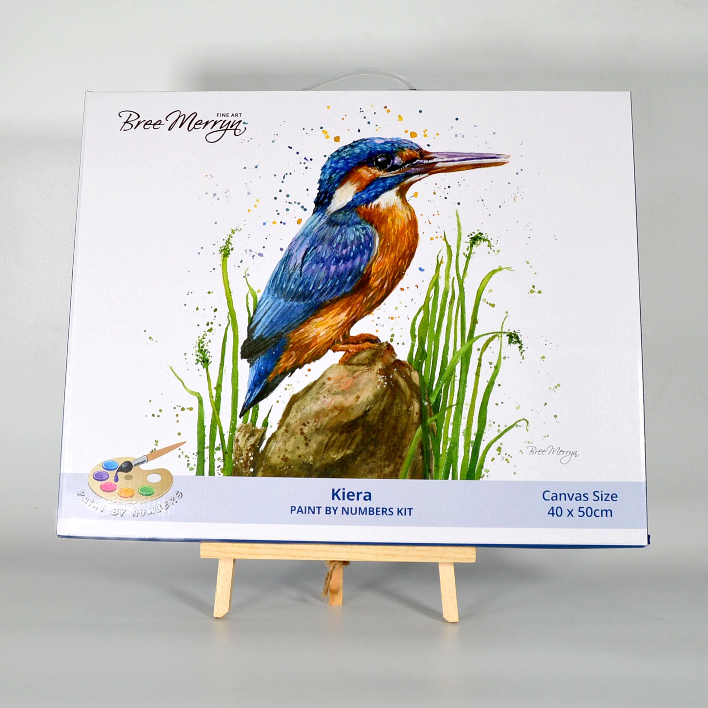 Bree Merryn Paint By Numbers 40cm x 50cm - Kiera