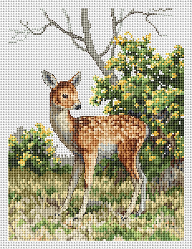 The Natural World - Little One