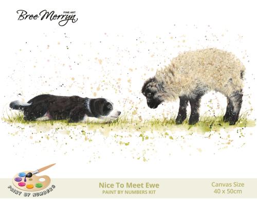 Bree Merryn Paint By Numbers 40cm x 50cm - Nice To Meet Ewe