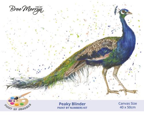 Bree Merryn Paint By Numbers 40cm x 50cm - Peaky Blinder