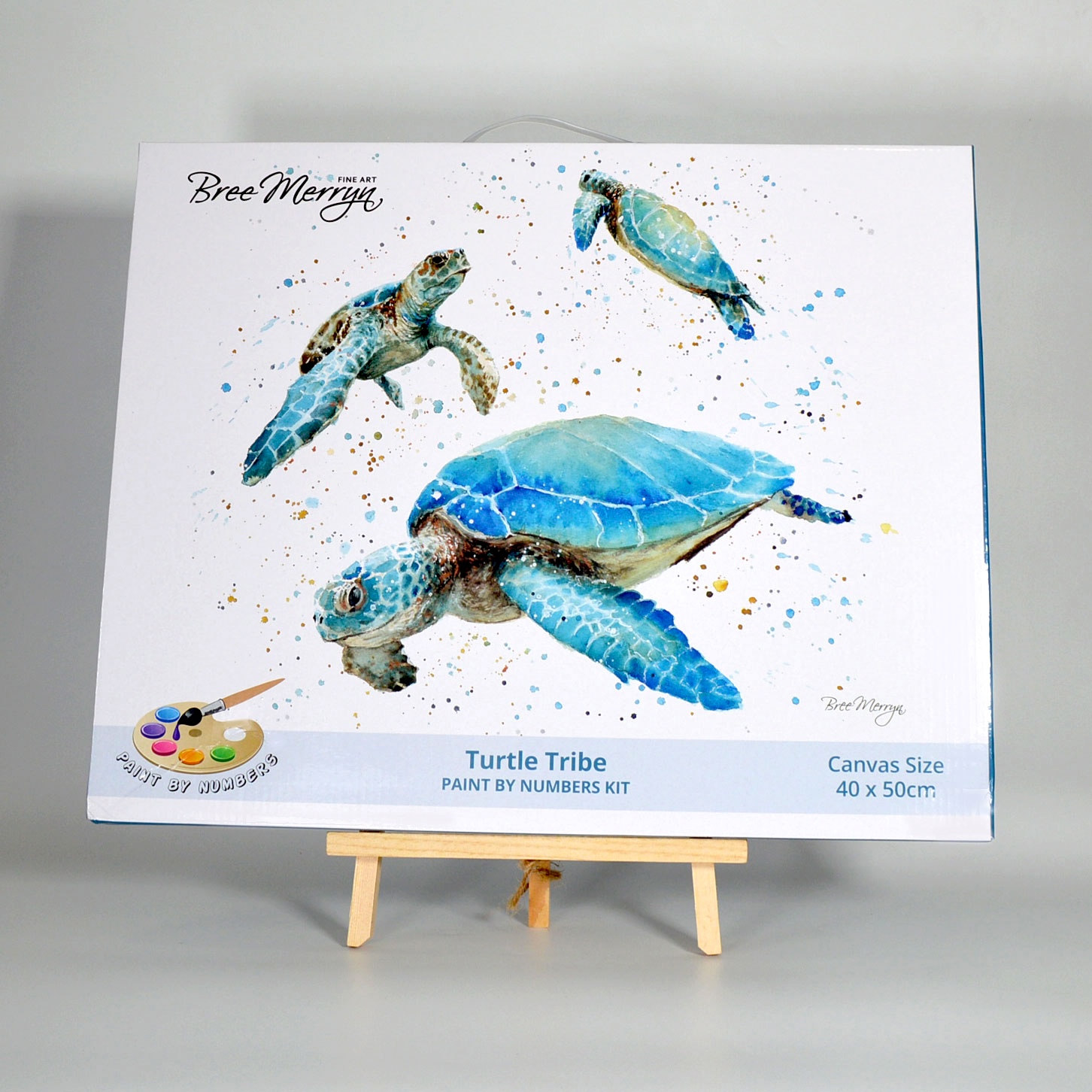 Bree Merryn Paint By Numbers 40cm x 50cm - Turtle Tribe